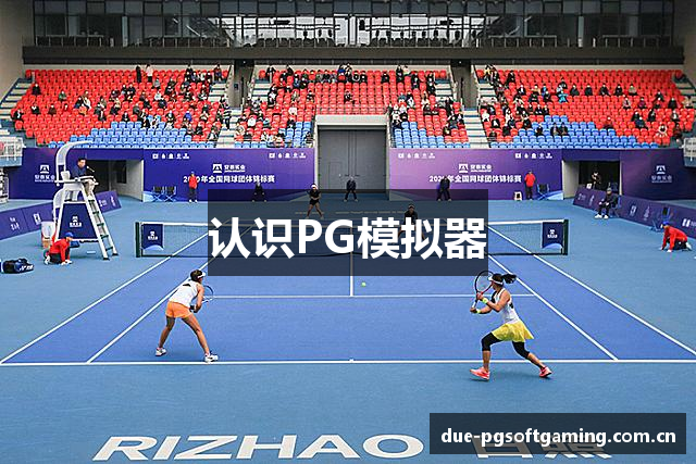 认识PG模拟器